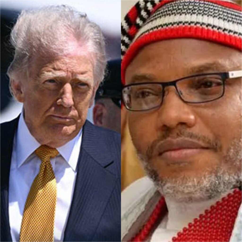Nnamdi Kanu