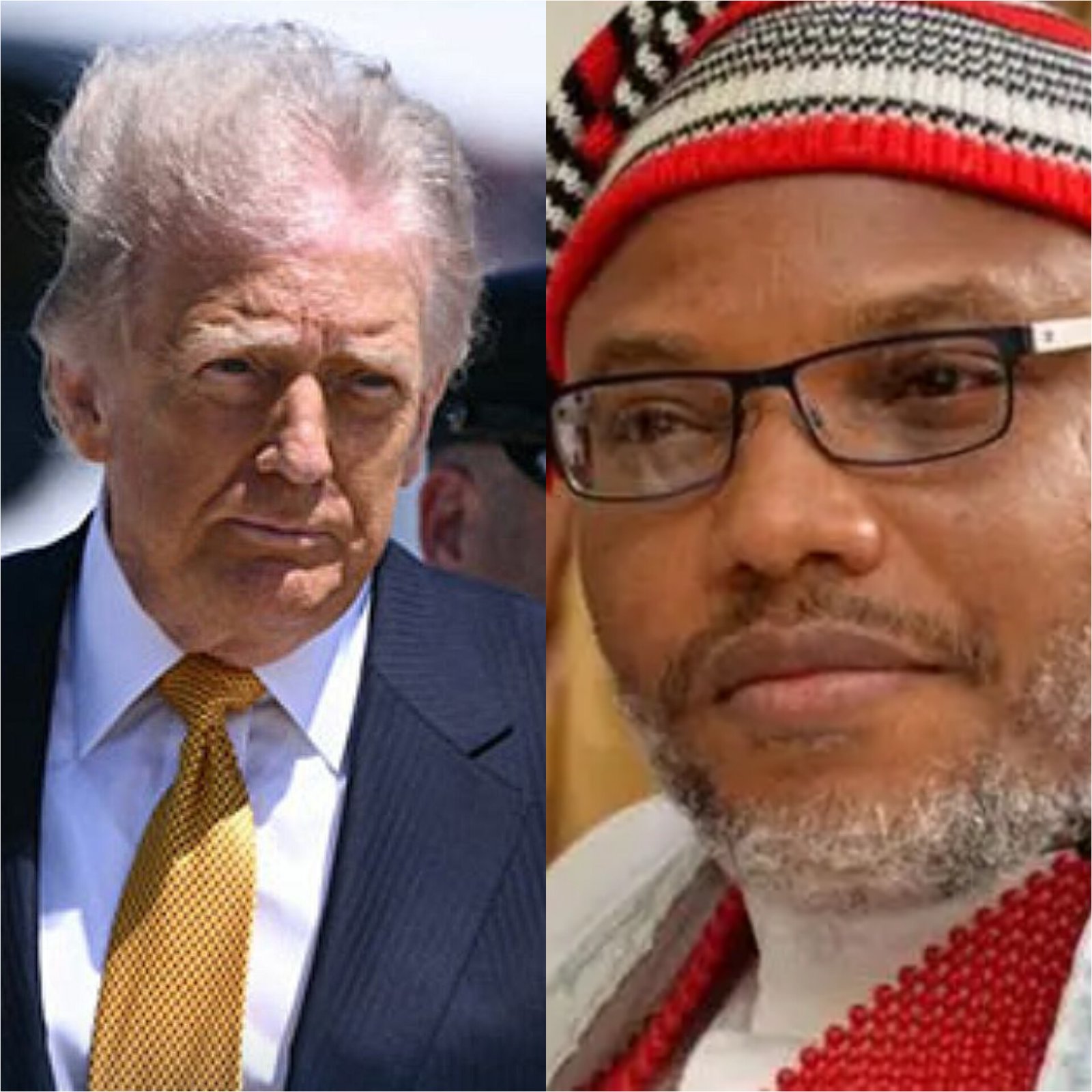 Nnamdi Kanu